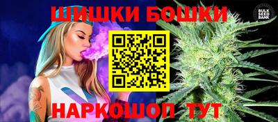 индика Усть-Джегута