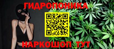 индика Усть-Джегута