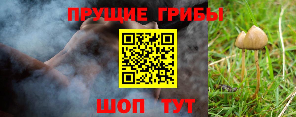 Псилоцибиновые грибы Magic Shrooms Бахчисарай